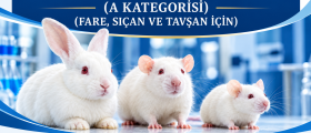 deney_hayvanlari_gorsel